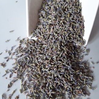 Lavendel - Blüten