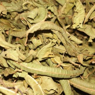 Verveine / Eisenkraut ganz