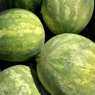 Melone Parfumöl Duftöl