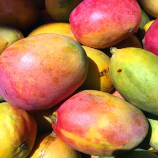 Mango Parfumöl Duftöl